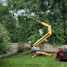 Best Lawn Drainage Solutions  in Crystal River, FL